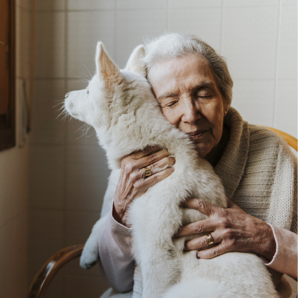 A hospice patient holds a miniature Schnauzer 